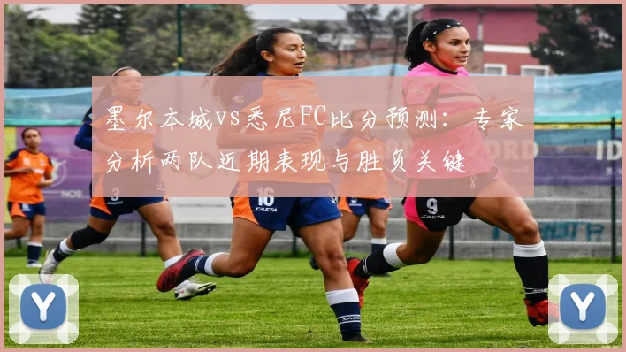 墨尔本城vs悉尼FC比分预测：专家分析两队近期表现与胜负关键