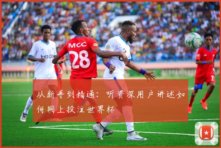 从新手到精通：听资深用户讲述如何网上投注世界杯