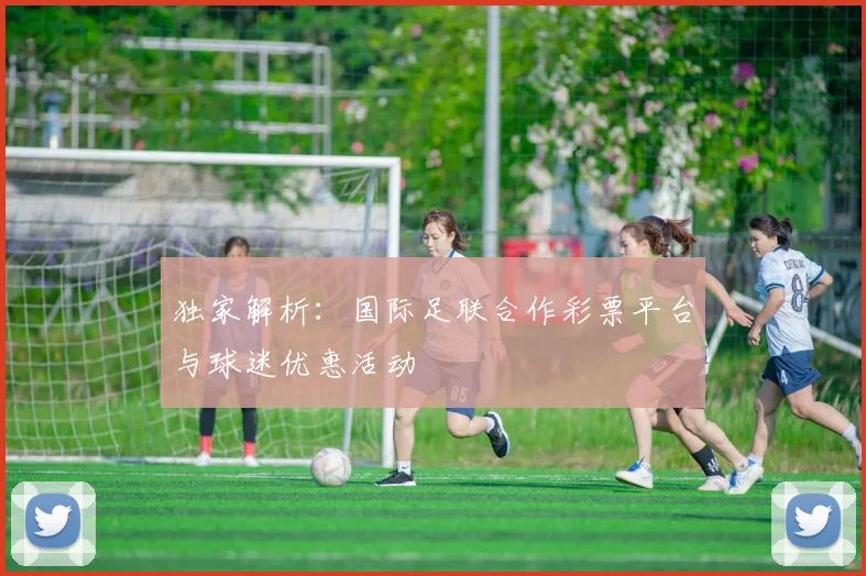 独家解析：国际足联合作彩票平台与球迷优惠活动