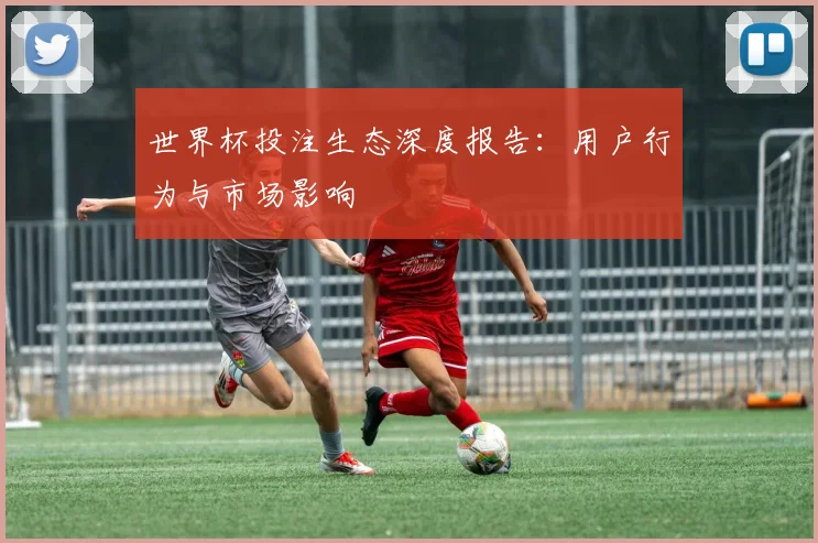 世界杯投注生态深度报告：用户行为与市场影响