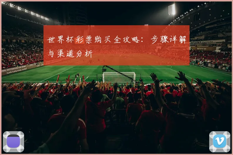 世界杯彩票购买全攻略：步骤详解与渠道分析