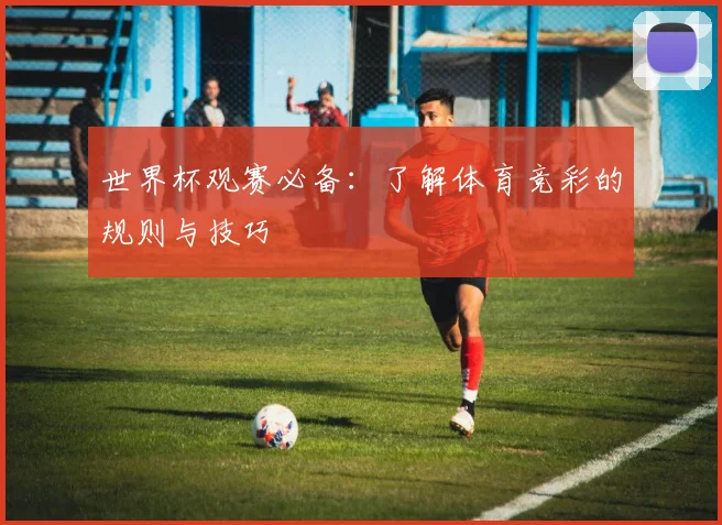 世界杯观赛必备：了解体育竞彩的规则与技巧