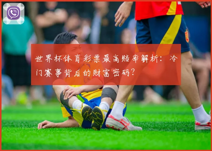 世界杯体育彩票最高赔率解析：冷门赛事背后的财富密码？