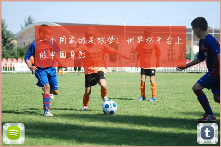 一个国家的足球梦：世界杯平台上的中国身影