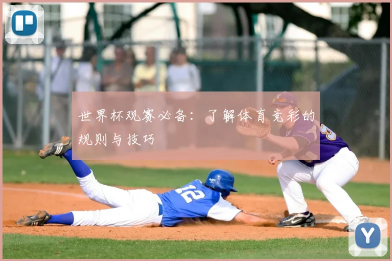 世界杯观赛必备：了解体育竞彩的规则与技巧
