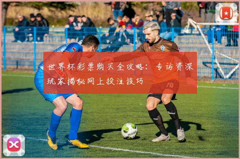 世界杯彩票购买全攻略：专访资深玩家揭秘网上投注技巧