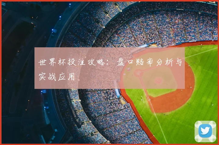 世界杯投注攻略:盘口赔率分析与实战应用