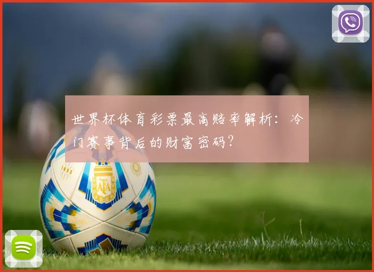 世界杯体育彩票最高赔率解析：冷门赛事背后的财富密码？