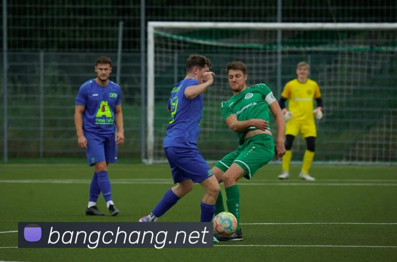 乐竞官网平台生态图