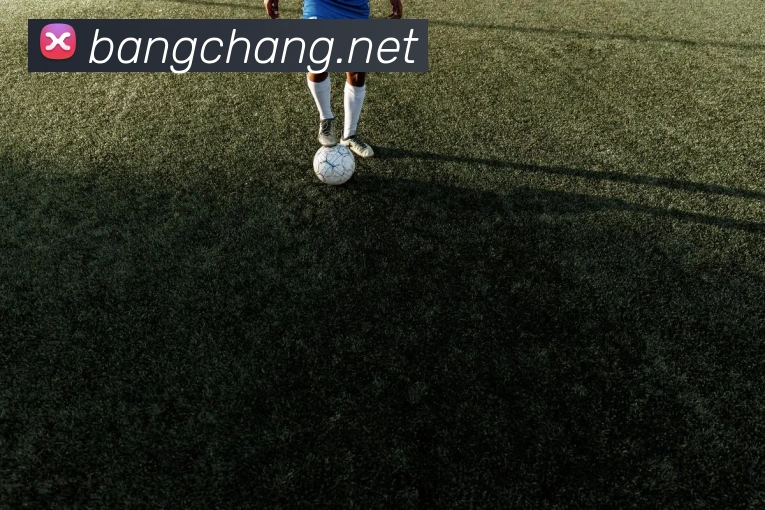 对战数据统计