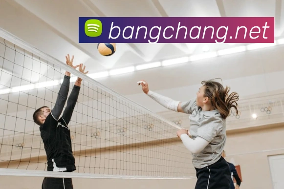 乐竞官网全站App